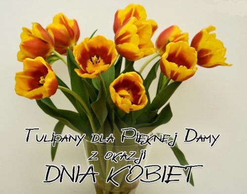Żółte tulipany na dzień kobiet